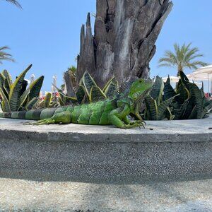 Meet your Posher, Sherry